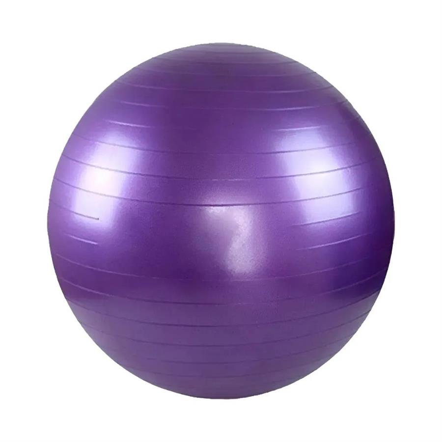 Pelota Esferodinamia Pilates Yoga Gmp Rehabilitación Morada de 55cm